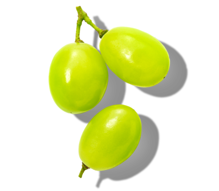Three green grapes two are attached with twig