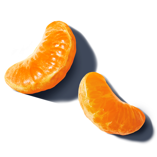 Two clementine slices on an empty background
