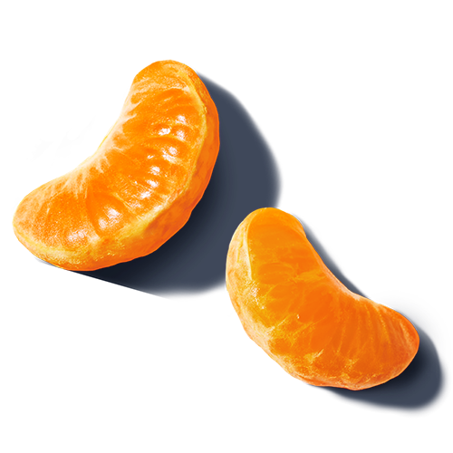 Two clementine slices on an empty background