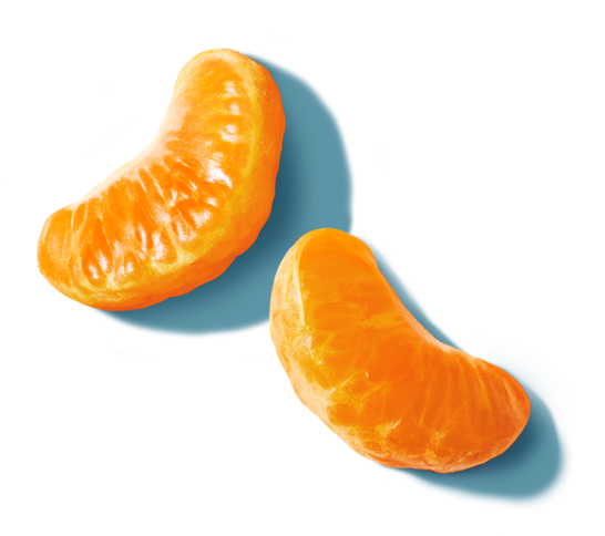 Two clementine slices